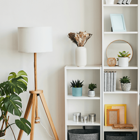 a shelf with plants and a lamp and a mirror